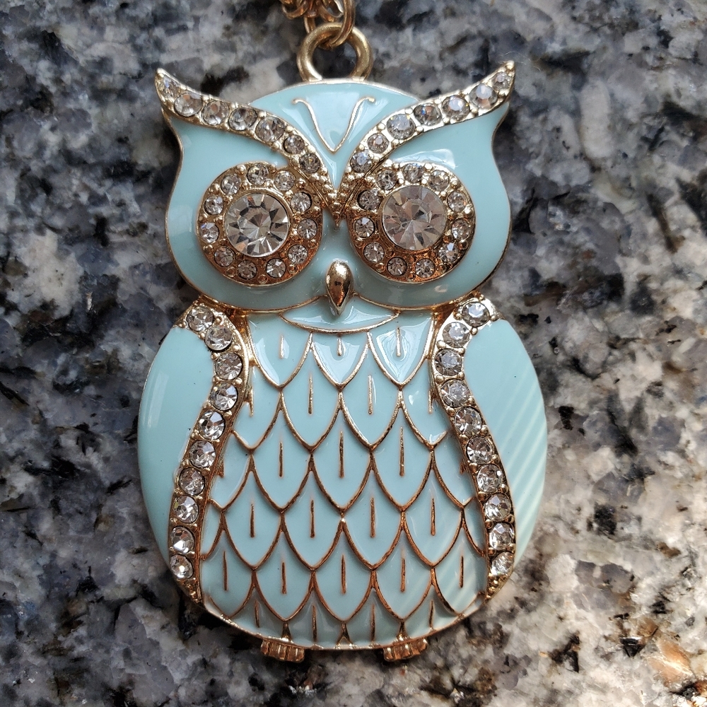 Vintage Turquoise Enamel Owl Necklace